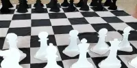 Шахматы - это интересно!