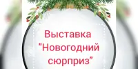 Выставка "Новогодний сюрприз"