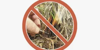 Предупреждение МЧС: Выжигание сухой растительности опасно и наказуемо!